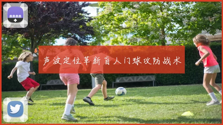 声波定位革新盲人门球攻防战术
