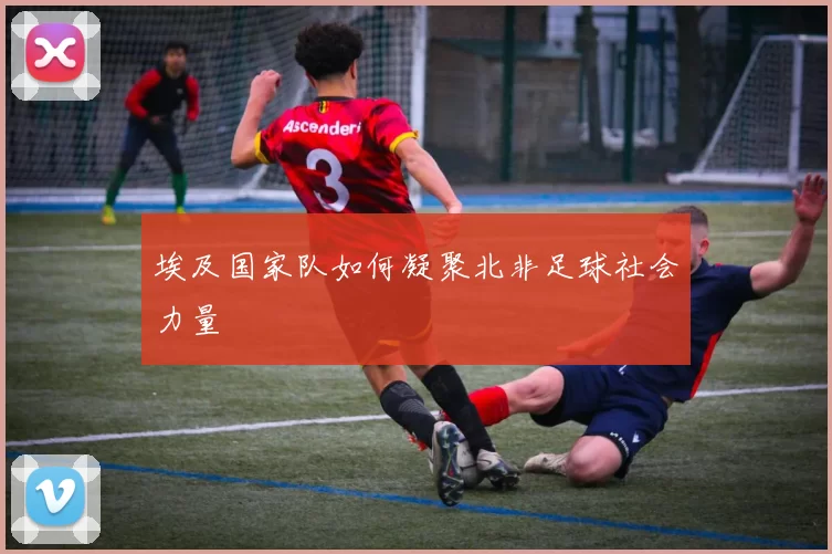 埃及国家队如何凝聚北非足球社会力量