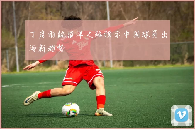 丁彦雨航留洋之路预示中国球员出海新趋势