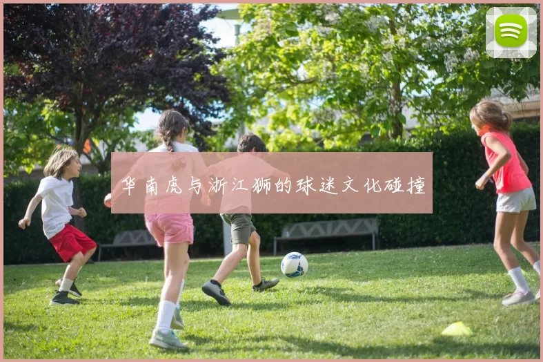 华南虎与浙江狮的球迷文化碰撞