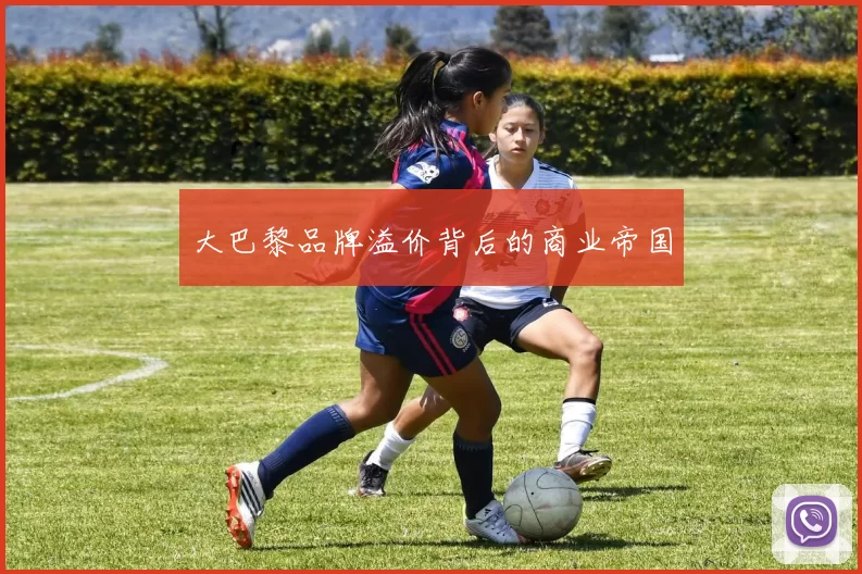 大巴黎品牌溢价背后的商业帝国