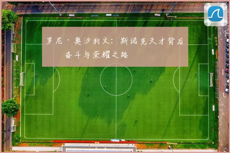 罗尼·奥沙利文：斯诺克天才背后的奋斗与荣耀之路